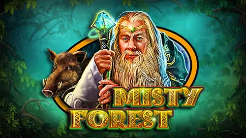 Misty Forest - Spin City - Congo